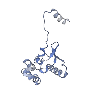 12758_7o80_Ao_v1-3
Rabbit 80S ribosome in complex with eRF1 and ABCE1 stalled at the STOP codon in the mutated SARS-CoV-2 slippery site