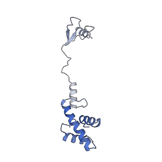 12758_7o80_Aq_v1-3
Rabbit 80S ribosome in complex with eRF1 and ABCE1 stalled at the STOP codon in the mutated SARS-CoV-2 slippery site