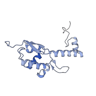 12758_7o80_Ar_v1-3
Rabbit 80S ribosome in complex with eRF1 and ABCE1 stalled at the STOP codon in the mutated SARS-CoV-2 slippery site