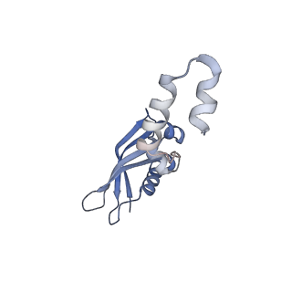 12758_7o80_Ax_v1-3
Rabbit 80S ribosome in complex with eRF1 and ABCE1 stalled at the STOP codon in the mutated SARS-CoV-2 slippery site