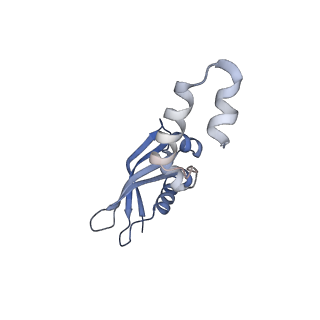 12758_7o80_Ax_v3-0
Rabbit 80S ribosome in complex with eRF1 and ABCE1 stalled at the STOP codon in the mutated SARS-CoV-2 slippery site