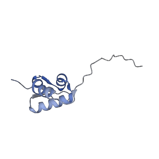 12758_7o80_Ay_v1-3
Rabbit 80S ribosome in complex with eRF1 and ABCE1 stalled at the STOP codon in the mutated SARS-CoV-2 slippery site
