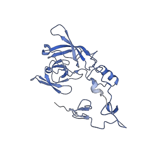 12758_7o80_BA_v1-3
Rabbit 80S ribosome in complex with eRF1 and ABCE1 stalled at the STOP codon in the mutated SARS-CoV-2 slippery site