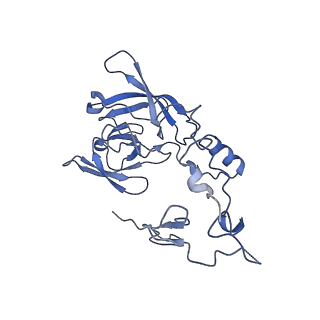 12758_7o80_BA_v3-0
Rabbit 80S ribosome in complex with eRF1 and ABCE1 stalled at the STOP codon in the mutated SARS-CoV-2 slippery site