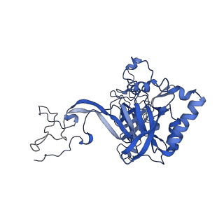 12758_7o80_BB_v1-3
Rabbit 80S ribosome in complex with eRF1 and ABCE1 stalled at the STOP codon in the mutated SARS-CoV-2 slippery site