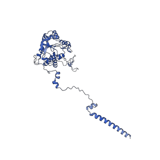 12758_7o80_BC_v1-3
Rabbit 80S ribosome in complex with eRF1 and ABCE1 stalled at the STOP codon in the mutated SARS-CoV-2 slippery site