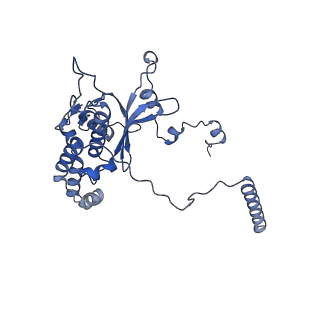 12758_7o80_BD_v1-3
Rabbit 80S ribosome in complex with eRF1 and ABCE1 stalled at the STOP codon in the mutated SARS-CoV-2 slippery site