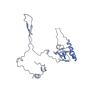12758_7o80_BE_v1-3
Rabbit 80S ribosome in complex with eRF1 and ABCE1 stalled at the STOP codon in the mutated SARS-CoV-2 slippery site