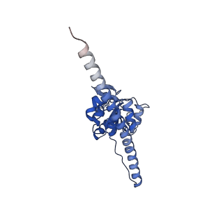12758_7o80_BF_v1-3
Rabbit 80S ribosome in complex with eRF1 and ABCE1 stalled at the STOP codon in the mutated SARS-CoV-2 slippery site