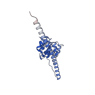 12758_7o80_BF_v3-0
Rabbit 80S ribosome in complex with eRF1 and ABCE1 stalled at the STOP codon in the mutated SARS-CoV-2 slippery site