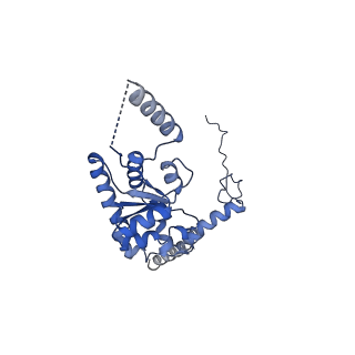 12758_7o80_BG_v1-3
Rabbit 80S ribosome in complex with eRF1 and ABCE1 stalled at the STOP codon in the mutated SARS-CoV-2 slippery site