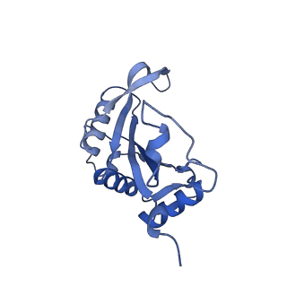 12758_7o80_BJ_v1-3
Rabbit 80S ribosome in complex with eRF1 and ABCE1 stalled at the STOP codon in the mutated SARS-CoV-2 slippery site