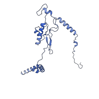12758_7o80_BL_v1-3
Rabbit 80S ribosome in complex with eRF1 and ABCE1 stalled at the STOP codon in the mutated SARS-CoV-2 slippery site