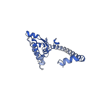 12758_7o80_BO_v1-3
Rabbit 80S ribosome in complex with eRF1 and ABCE1 stalled at the STOP codon in the mutated SARS-CoV-2 slippery site