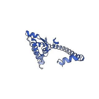 12758_7o80_BO_v3-0
Rabbit 80S ribosome in complex with eRF1 and ABCE1 stalled at the STOP codon in the mutated SARS-CoV-2 slippery site