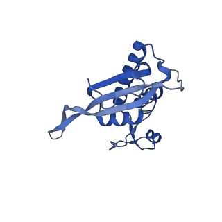 12758_7o80_BP_v1-3
Rabbit 80S ribosome in complex with eRF1 and ABCE1 stalled at the STOP codon in the mutated SARS-CoV-2 slippery site