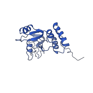 12758_7o80_BQ_v1-3
Rabbit 80S ribosome in complex with eRF1 and ABCE1 stalled at the STOP codon in the mutated SARS-CoV-2 slippery site
