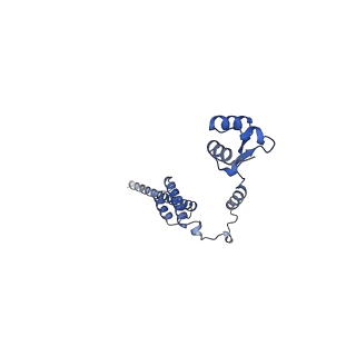 12758_7o80_BR_v1-3
Rabbit 80S ribosome in complex with eRF1 and ABCE1 stalled at the STOP codon in the mutated SARS-CoV-2 slippery site