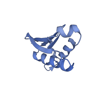12758_7o80_BU_v1-3
Rabbit 80S ribosome in complex with eRF1 and ABCE1 stalled at the STOP codon in the mutated SARS-CoV-2 slippery site