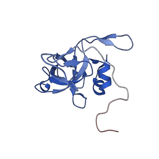 12758_7o80_BV_v1-3
Rabbit 80S ribosome in complex with eRF1 and ABCE1 stalled at the STOP codon in the mutated SARS-CoV-2 slippery site