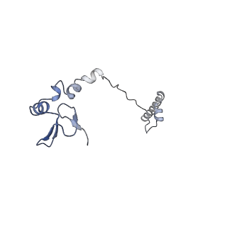 12758_7o80_BW_v1-3
Rabbit 80S ribosome in complex with eRF1 and ABCE1 stalled at the STOP codon in the mutated SARS-CoV-2 slippery site