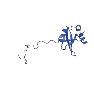 12758_7o80_BX_v1-3
Rabbit 80S ribosome in complex with eRF1 and ABCE1 stalled at the STOP codon in the mutated SARS-CoV-2 slippery site