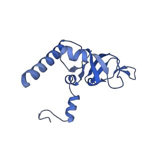 12758_7o80_BY_v1-3
Rabbit 80S ribosome in complex with eRF1 and ABCE1 stalled at the STOP codon in the mutated SARS-CoV-2 slippery site