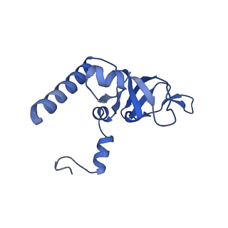12758_7o80_BY_v3-0
Rabbit 80S ribosome in complex with eRF1 and ABCE1 stalled at the STOP codon in the mutated SARS-CoV-2 slippery site