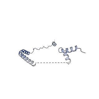 12758_7o80_Bb_v1-3
Rabbit 80S ribosome in complex with eRF1 and ABCE1 stalled at the STOP codon in the mutated SARS-CoV-2 slippery site