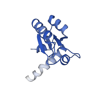 12758_7o80_Bc_v1-3
Rabbit 80S ribosome in complex with eRF1 and ABCE1 stalled at the STOP codon in the mutated SARS-CoV-2 slippery site