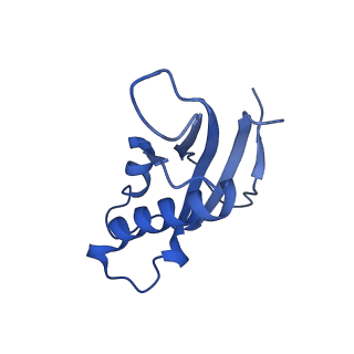 12758_7o80_Bd_v3-0
Rabbit 80S ribosome in complex with eRF1 and ABCE1 stalled at the STOP codon in the mutated SARS-CoV-2 slippery site