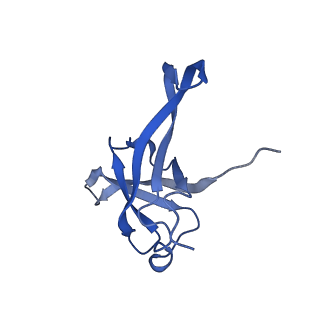12758_7o80_Bf_v1-3
Rabbit 80S ribosome in complex with eRF1 and ABCE1 stalled at the STOP codon in the mutated SARS-CoV-2 slippery site