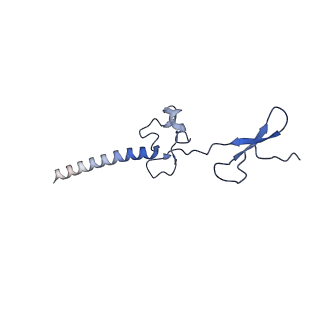 12758_7o80_Bg_v1-3
Rabbit 80S ribosome in complex with eRF1 and ABCE1 stalled at the STOP codon in the mutated SARS-CoV-2 slippery site