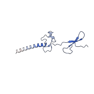 12758_7o80_Bg_v3-0
Rabbit 80S ribosome in complex with eRF1 and ABCE1 stalled at the STOP codon in the mutated SARS-CoV-2 slippery site