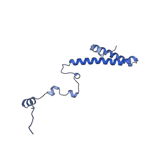 12758_7o80_Bh_v1-3
Rabbit 80S ribosome in complex with eRF1 and ABCE1 stalled at the STOP codon in the mutated SARS-CoV-2 slippery site