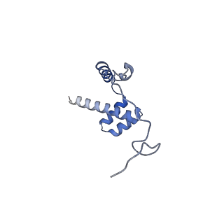 12758_7o80_Bi_v1-3
Rabbit 80S ribosome in complex with eRF1 and ABCE1 stalled at the STOP codon in the mutated SARS-CoV-2 slippery site