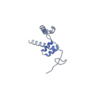 12758_7o80_Bi_v3-0
Rabbit 80S ribosome in complex with eRF1 and ABCE1 stalled at the STOP codon in the mutated SARS-CoV-2 slippery site