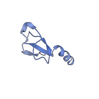 12758_7o80_Bm_v1-3
Rabbit 80S ribosome in complex with eRF1 and ABCE1 stalled at the STOP codon in the mutated SARS-CoV-2 slippery site
