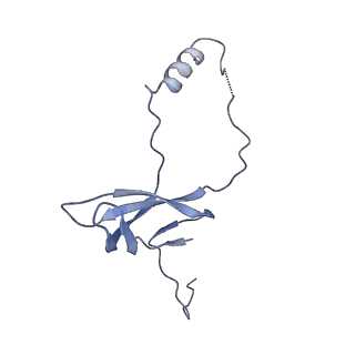 12758_7o80_Bo_v1-3
Rabbit 80S ribosome in complex with eRF1 and ABCE1 stalled at the STOP codon in the mutated SARS-CoV-2 slippery site