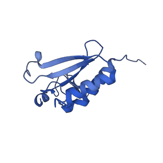 12758_7o80_Br_v1-3
Rabbit 80S ribosome in complex with eRF1 and ABCE1 stalled at the STOP codon in the mutated SARS-CoV-2 slippery site
