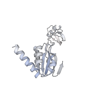 12758_7o80_Bs_v1-3
Rabbit 80S ribosome in complex with eRF1 and ABCE1 stalled at the STOP codon in the mutated SARS-CoV-2 slippery site