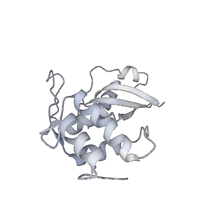 12758_7o80_Bt_v1-3
Rabbit 80S ribosome in complex with eRF1 and ABCE1 stalled at the STOP codon in the mutated SARS-CoV-2 slippery site