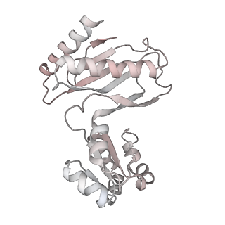 12758_7o80_Bv_v1-3
Rabbit 80S ribosome in complex with eRF1 and ABCE1 stalled at the STOP codon in the mutated SARS-CoV-2 slippery site