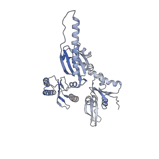 12758_7o80_By_v1-3
Rabbit 80S ribosome in complex with eRF1 and ABCE1 stalled at the STOP codon in the mutated SARS-CoV-2 slippery site