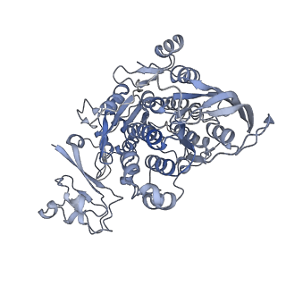 12758_7o80_Bz_v1-3
Rabbit 80S ribosome in complex with eRF1 and ABCE1 stalled at the STOP codon in the mutated SARS-CoV-2 slippery site