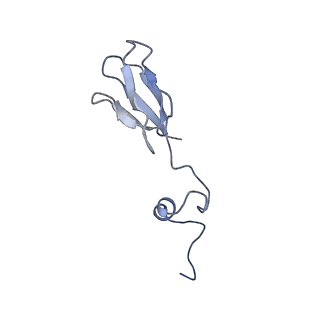 12759_7o81_AA_v1-2
Rabbit 80S ribosome colliding in another ribosome stalled by the SARS-CoV-2 pseudoknot