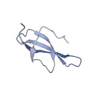 12759_7o81_AB_v1-2
Rabbit 80S ribosome colliding in another ribosome stalled by the SARS-CoV-2 pseudoknot