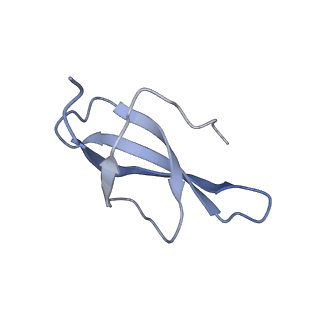 12759_7o81_AB_v3-0
Rabbit 80S ribosome colliding in another ribosome stalled by the SARS-CoV-2 pseudoknot