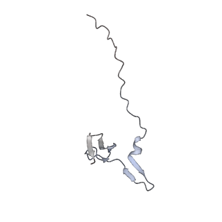12759_7o81_AC_v1-2
Rabbit 80S ribosome colliding in another ribosome stalled by the SARS-CoV-2 pseudoknot