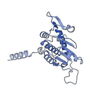 12759_7o81_AZ_v1-2
Rabbit 80S ribosome colliding in another ribosome stalled by the SARS-CoV-2 pseudoknot